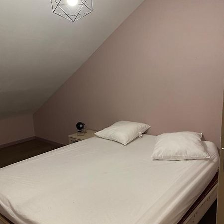 Appartement 14 Couchages Vallee Du Gresivaudan La Buissiere  Bagian luar foto