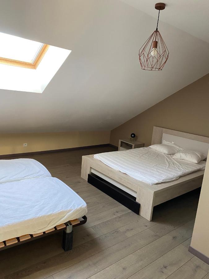 Appartement 14 Couchages Vallee Du Gresivaudan La Buissiere  Bagian luar foto